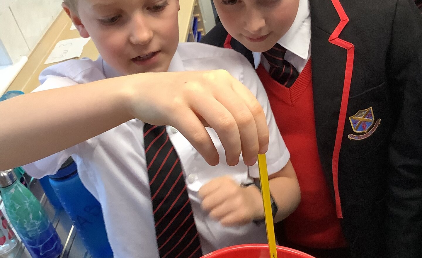 Image of Autumn Term 2 - Week 2