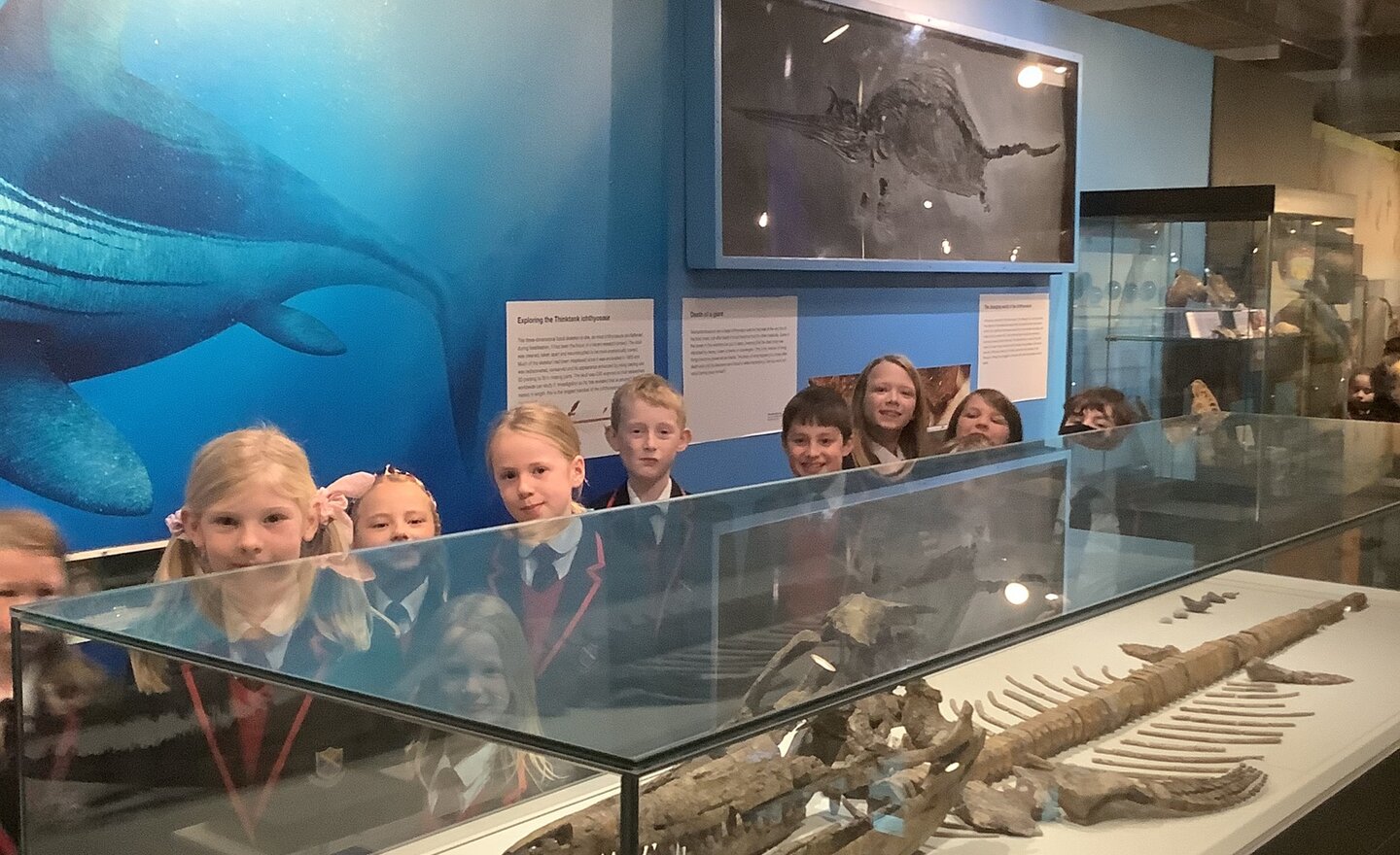 Image of Autumn Term 2 - Week 5