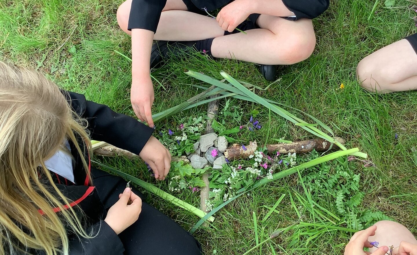 Image of Summer Term 1 - Week 5