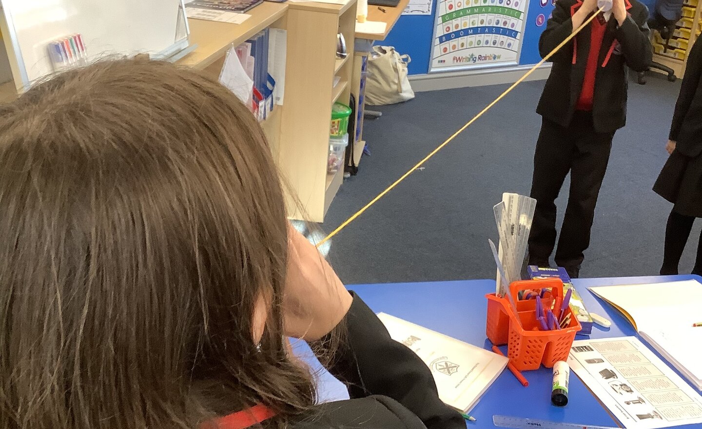 Image of Spring Term 1 - Week 6