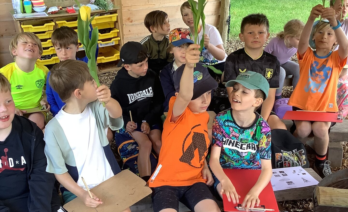 Image of Summer Term 2 - Week 4