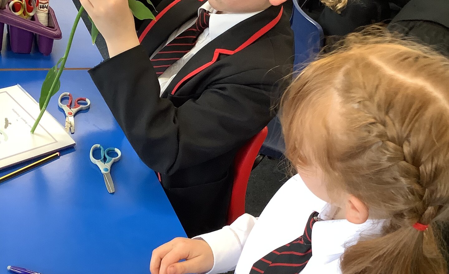 Image of Summer Term 1 - Week 2