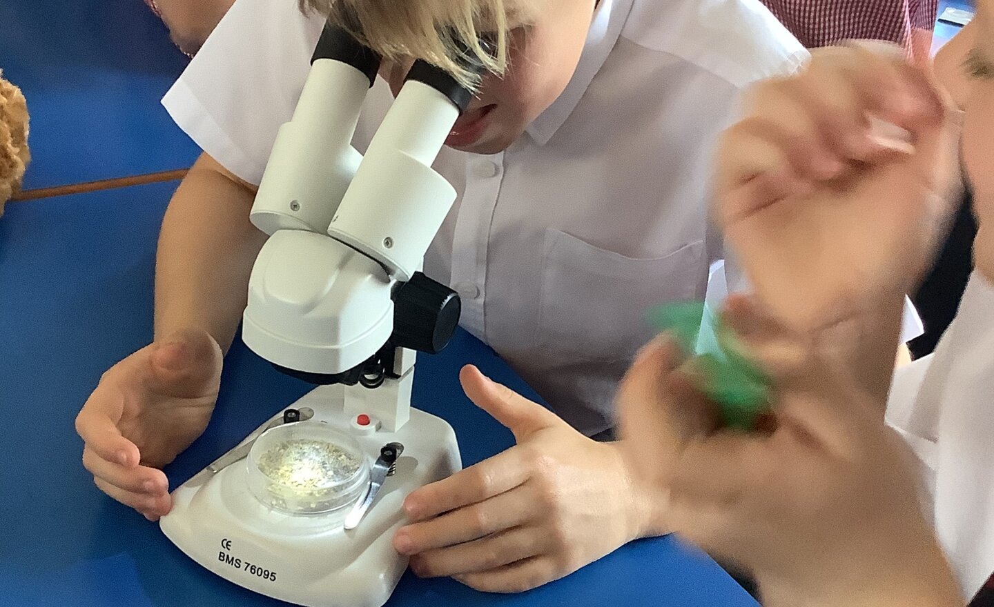 Image of Summer Term 2 - Week 3