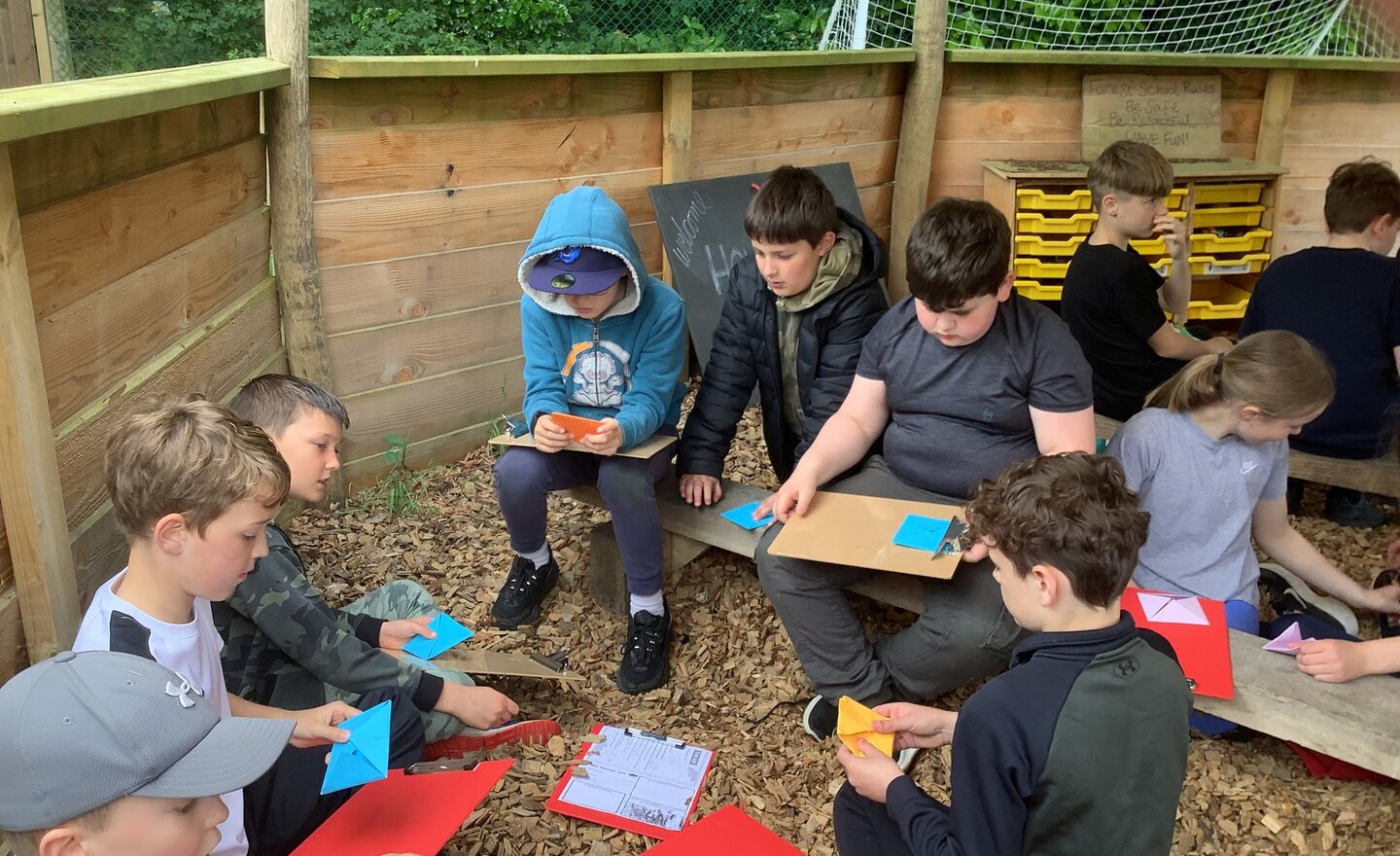 Image of Summer Term 2 Week 2