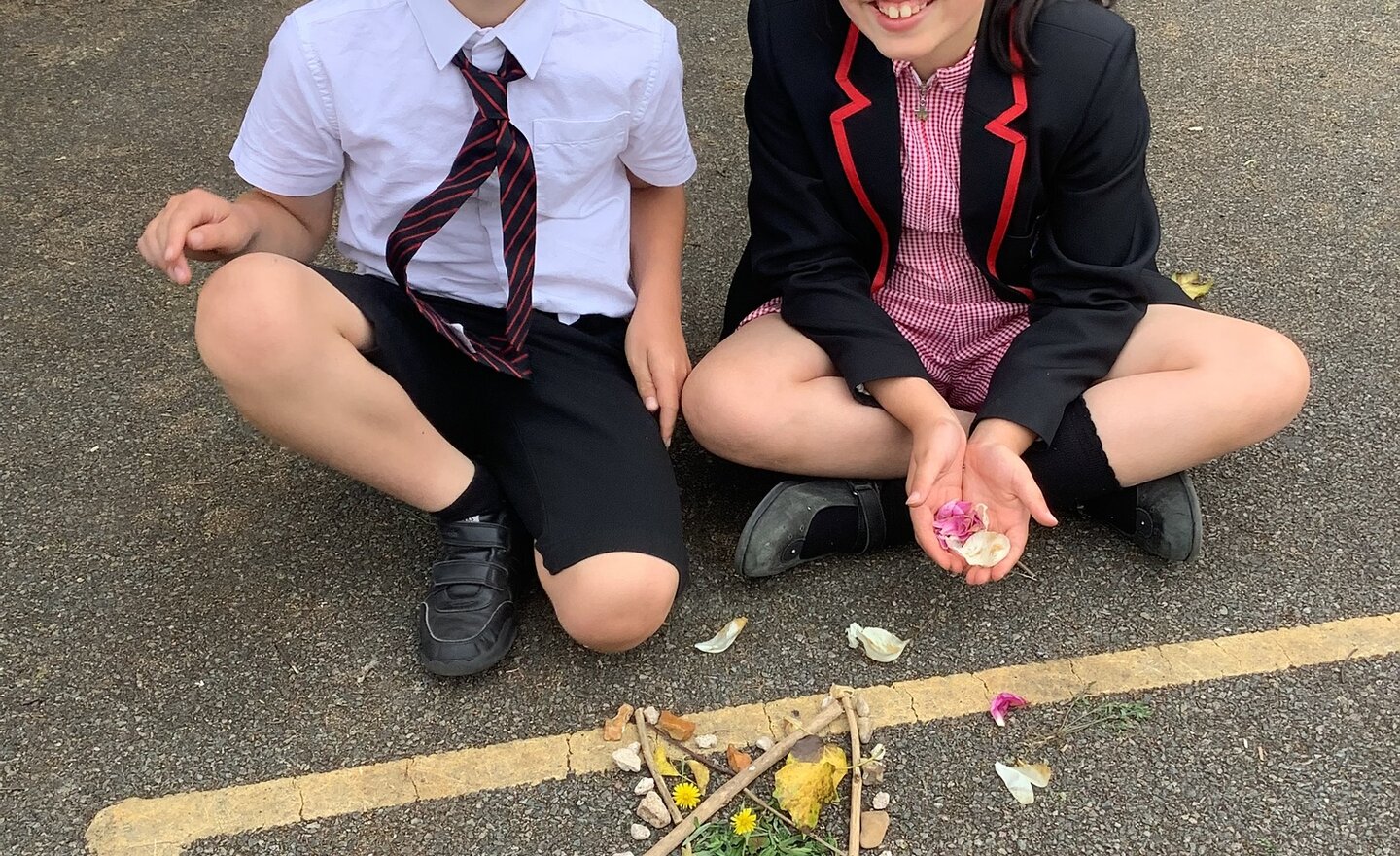 Image of Summer Term 2 - Week 1