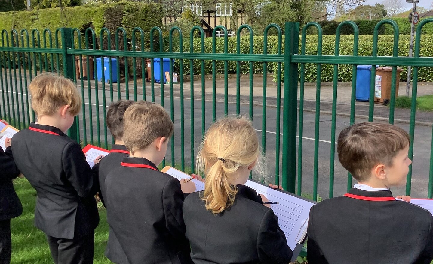 Image of Summer Term 1 - Week 1