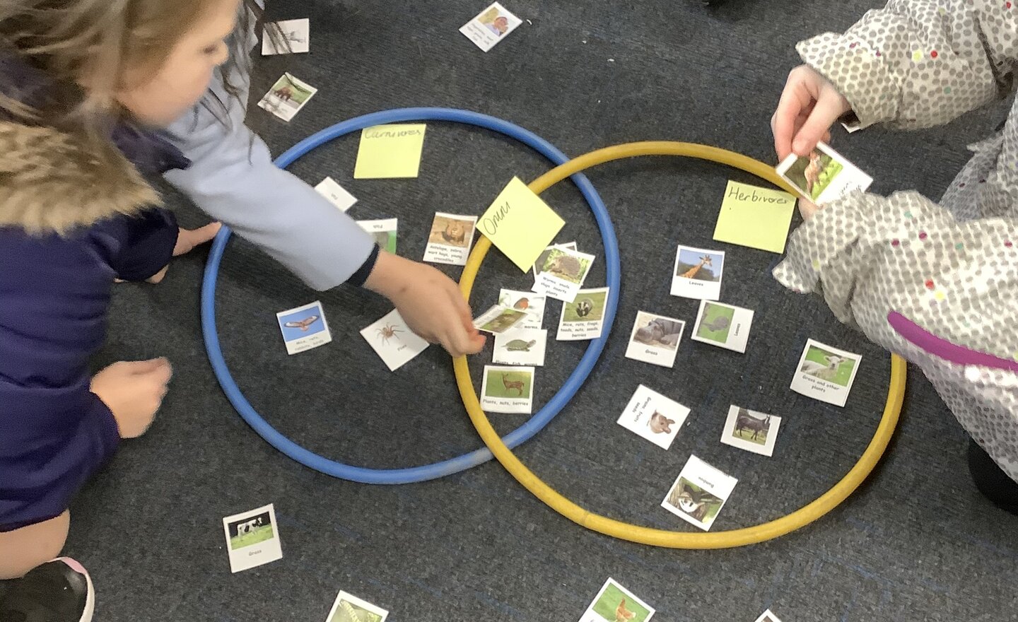 Image of Spring Term 1- Week 4