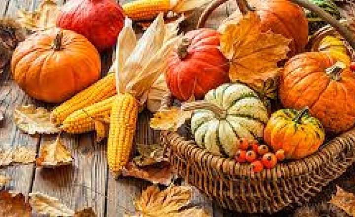 Image of Harvest Festival Service in Church