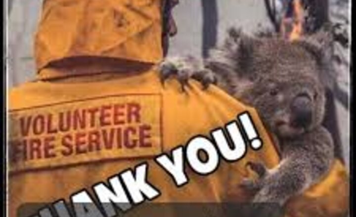 Image of Australian Fire Relief Fundraiser - Colouring Competition