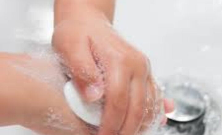 Image of Threadworms