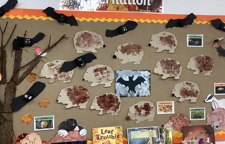 Image of Class 1 autumn 2 Week 1 2025