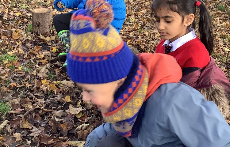 Image of Class 2- Autumn 1- Week 8