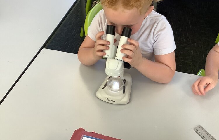 Image of Class 2-Summer 2-Week 5