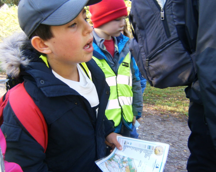 Image of Cannock Chase