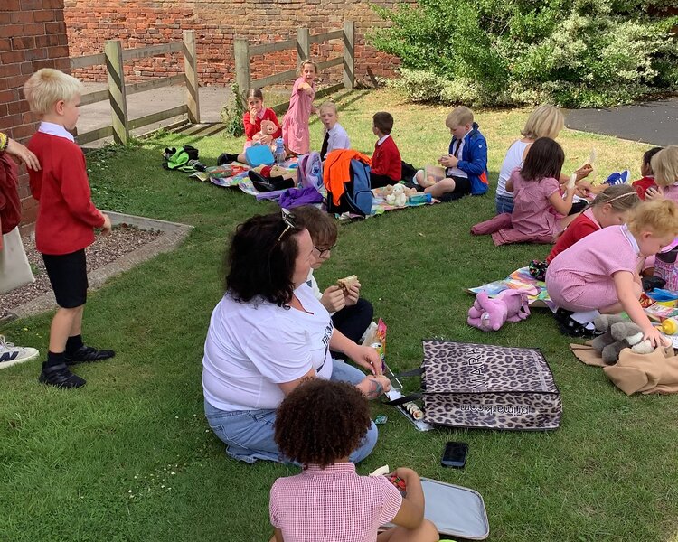 Image of Class 2- Teddy Bear’s Picnic