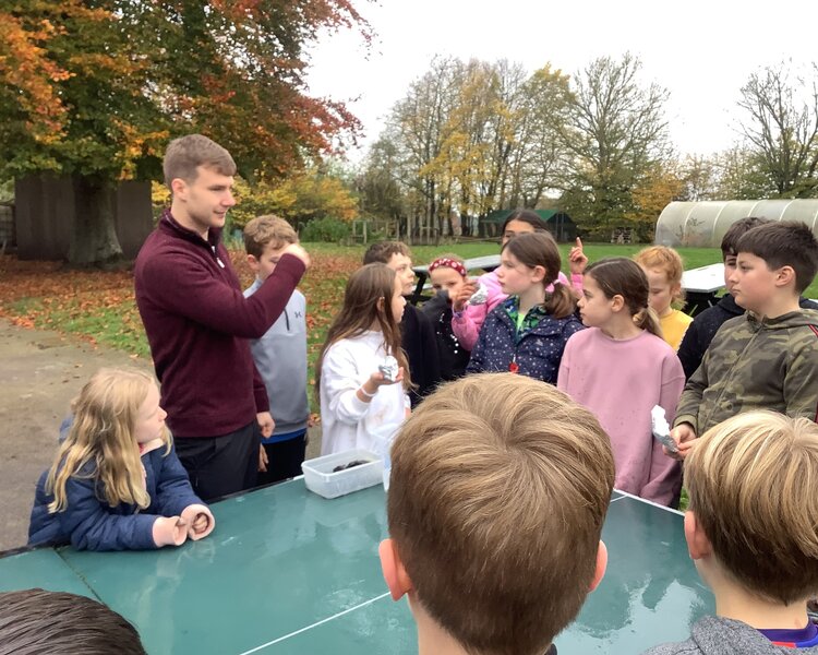 Image of Class 4 Outdoor Learning Day Autumn 2024