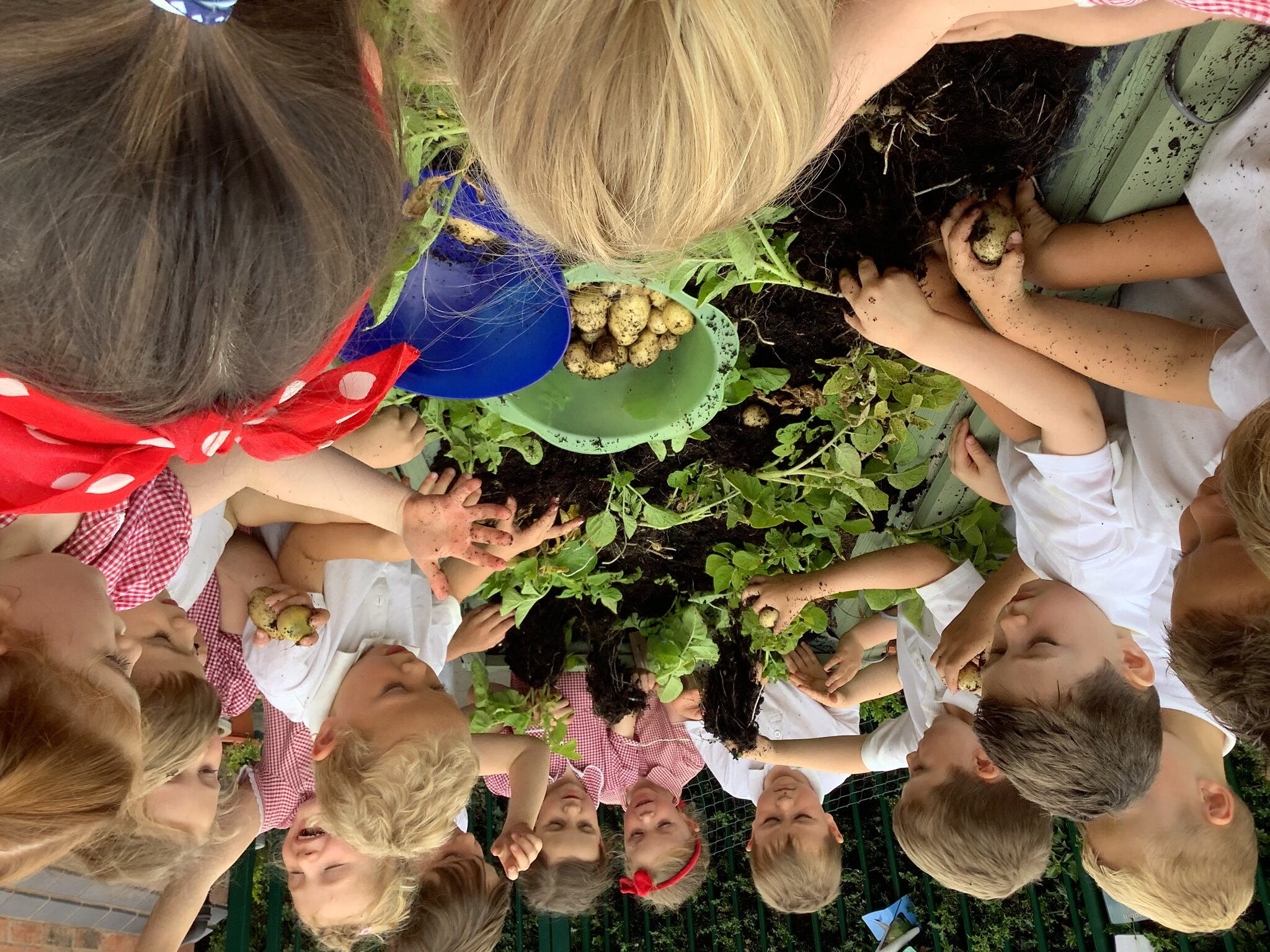 Image of Class 1 summer 2 Week 4