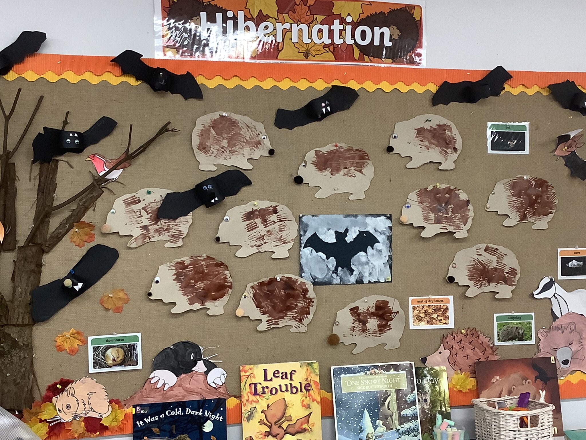 Image of Class 1 autumn 2 Week 1 2025