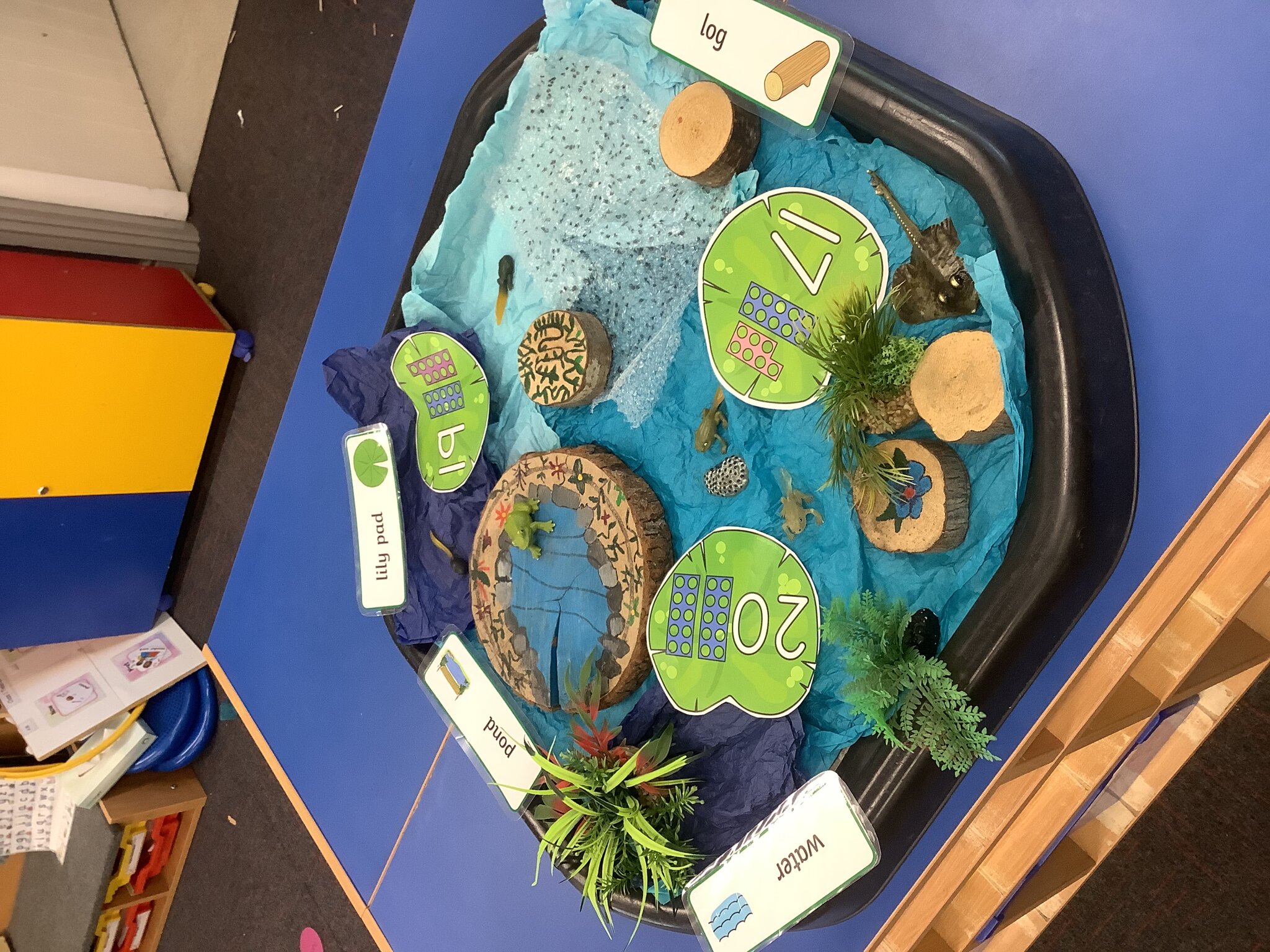 Image of Class 1 summer 2 Week 2 2026