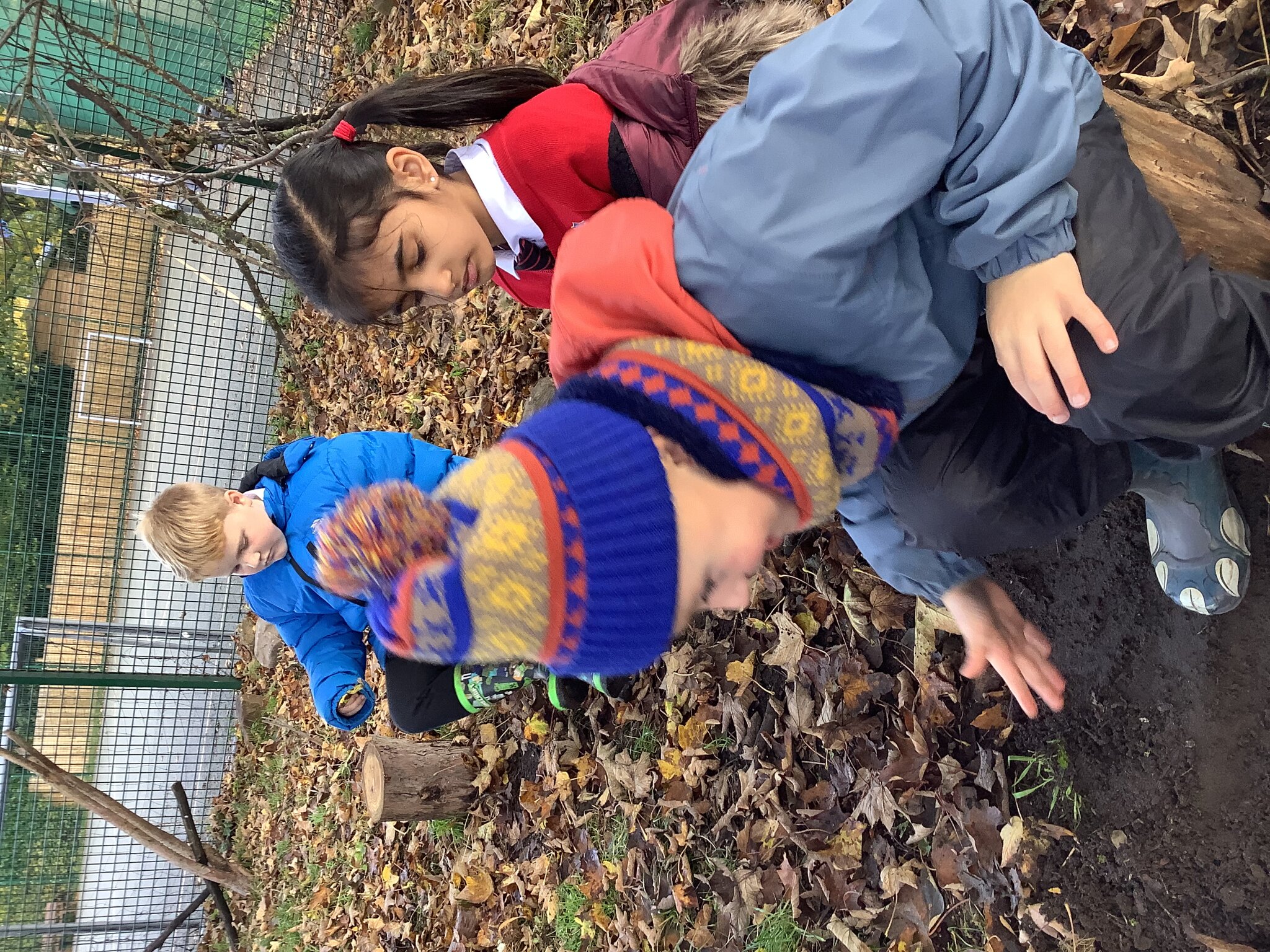 Image of Class 2- Autumn 1- Week 8