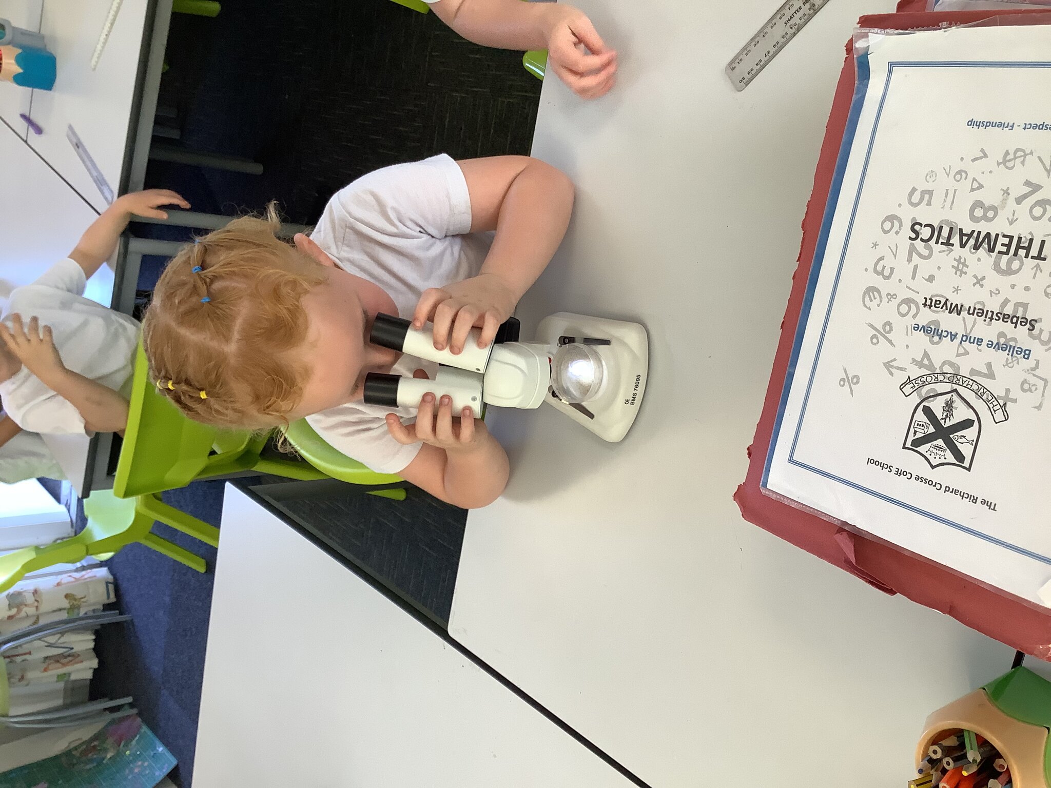 Image of Class 2-Summer 2-Week 5