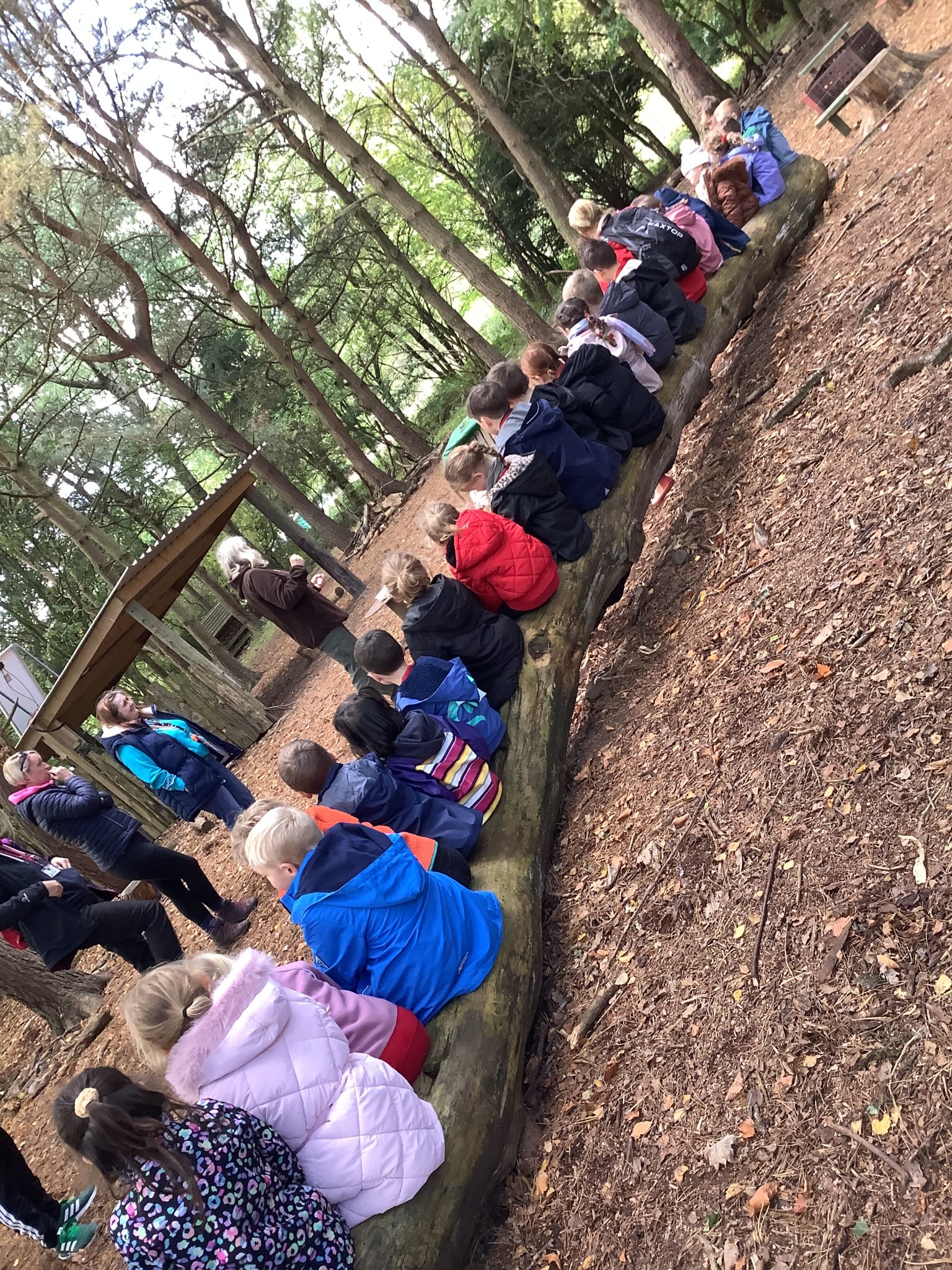 Image of Class 2- Autumn 1- Week 7