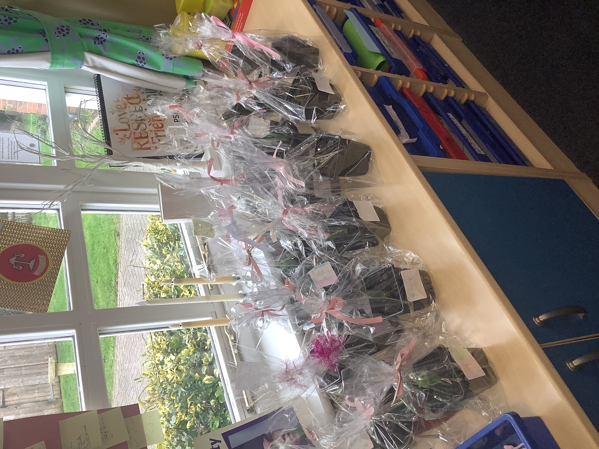 Image of Class 3- Spring 2- Week 3