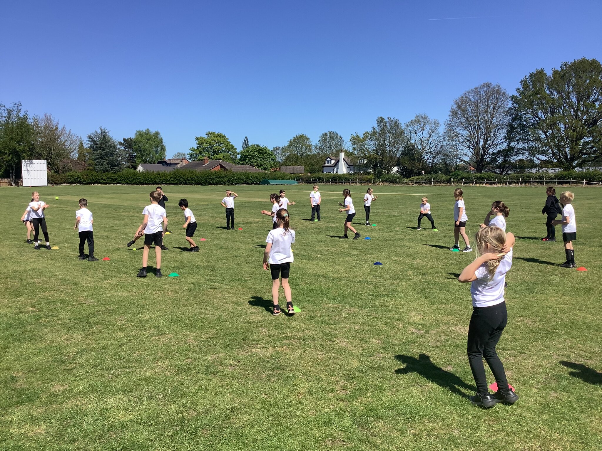 Image of Class 3- Summer 1- Week 3