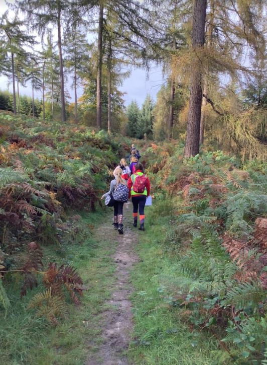 Image of Orienteering - Autumn 2021 By Year 5