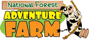 Image of Year 6 National Forest Adventure Farm Trip