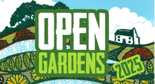 Image of Kings Bromley Open Gardens