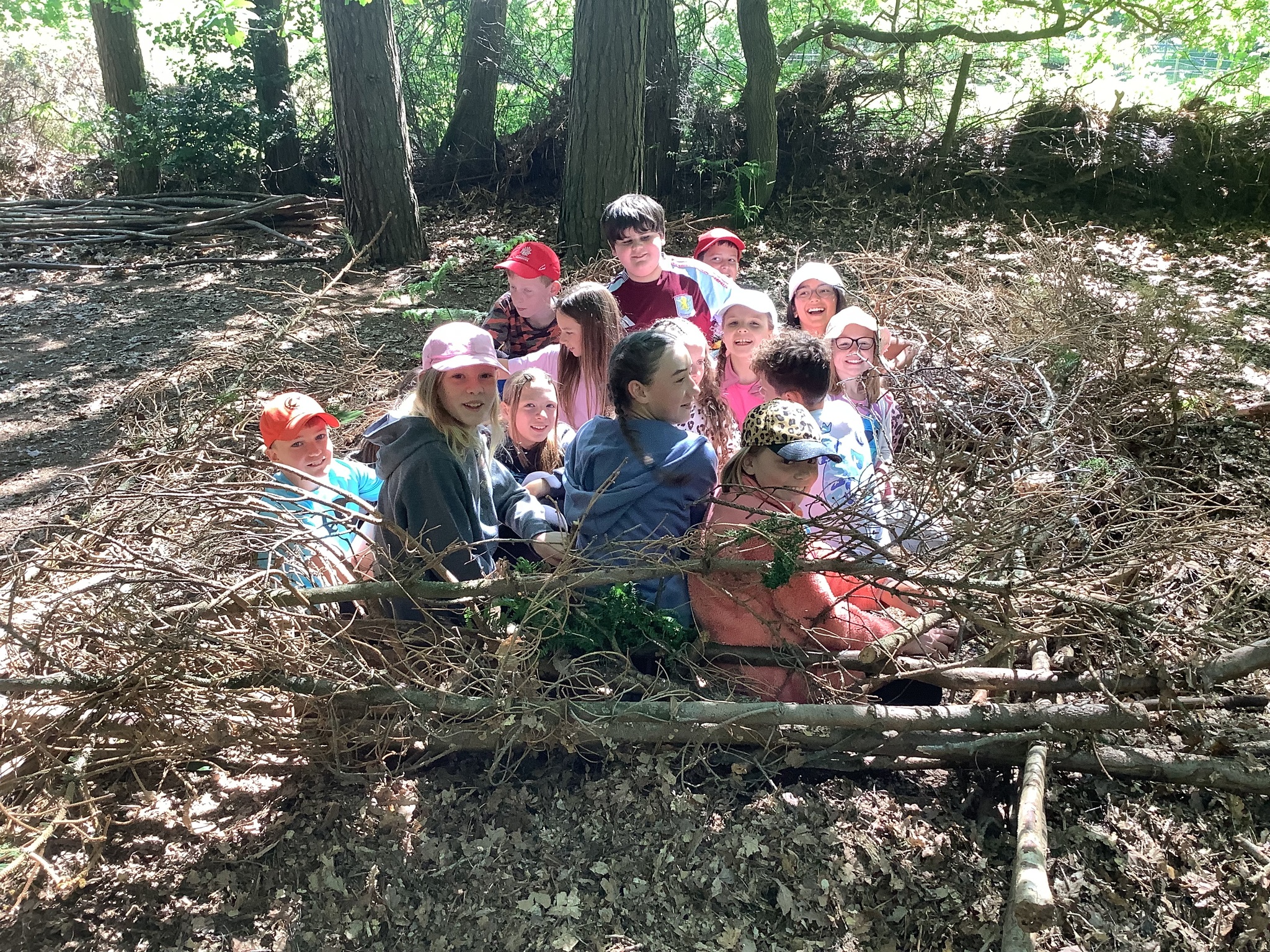 Image of Class 4 Week 3 Summer 1