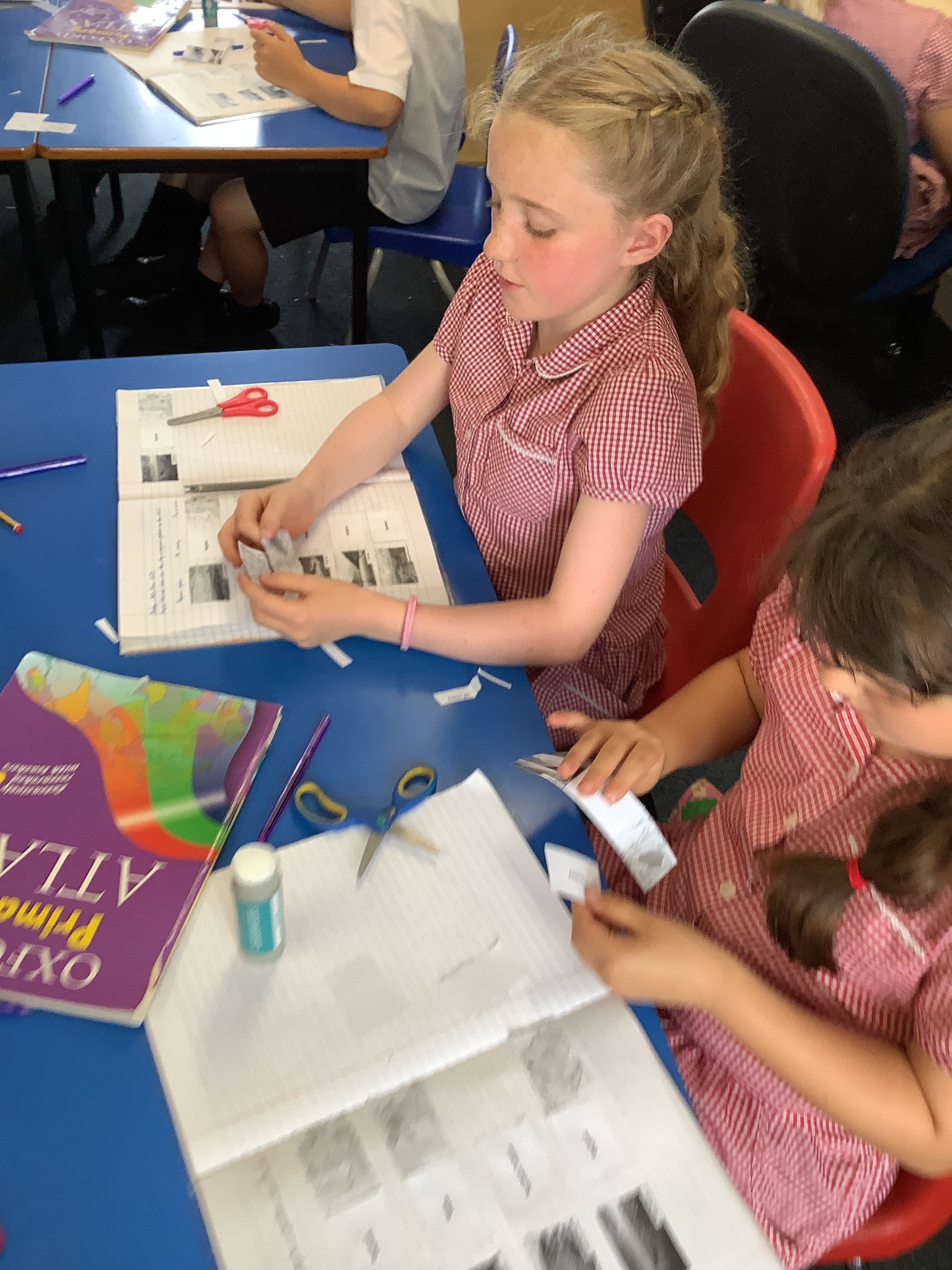 Image of Summer Term 2 - Week 4