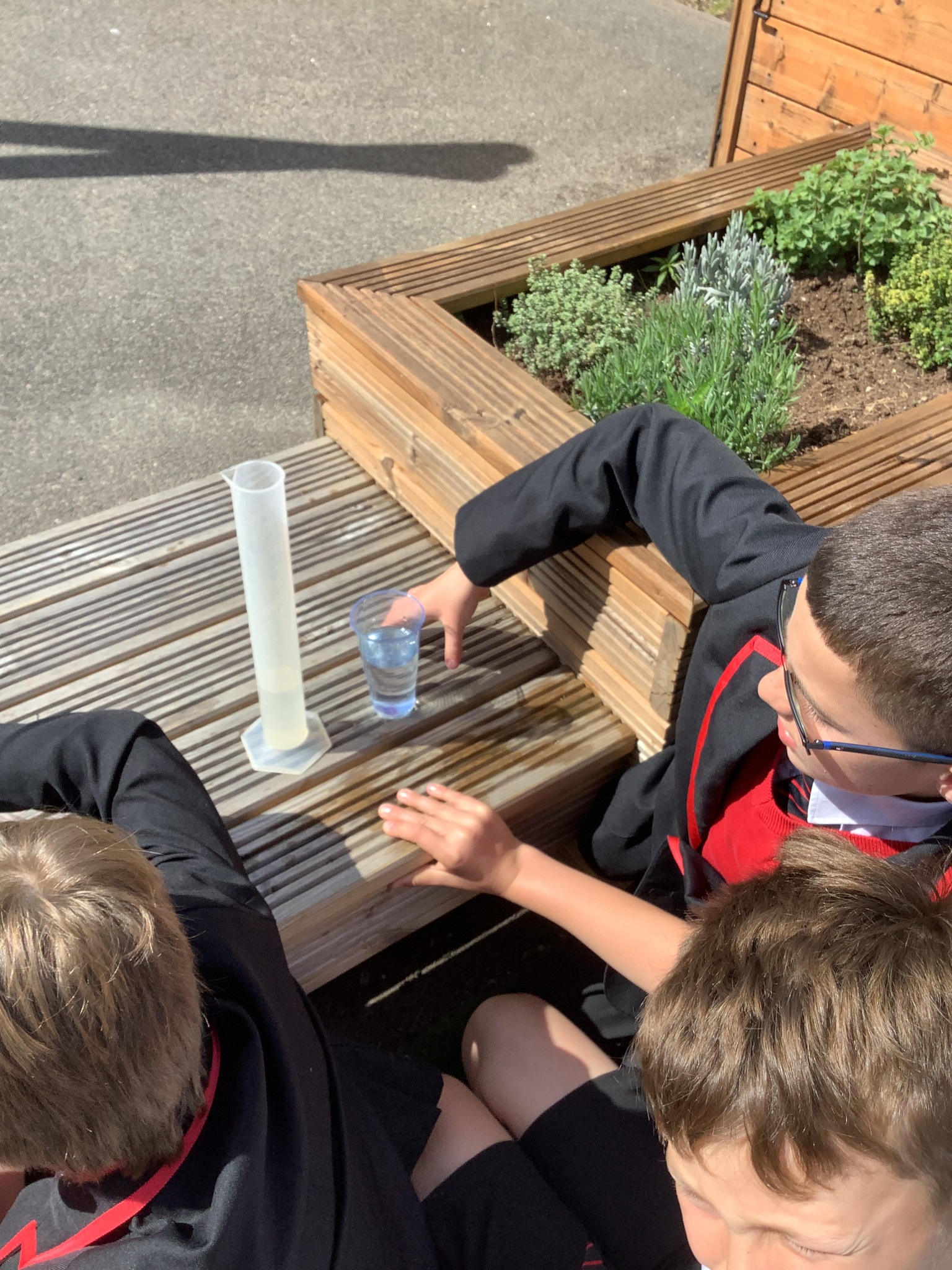 Image of Summer Term 1 - Week 1