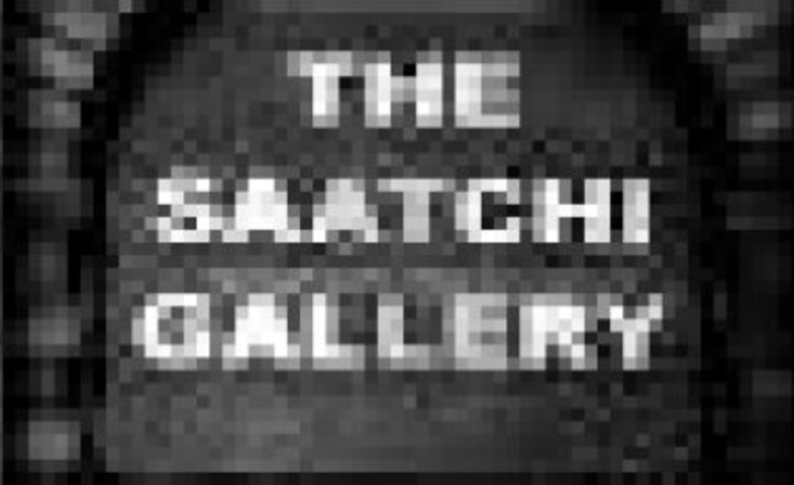 Image of Year 9 Saatchi Gallery Visit