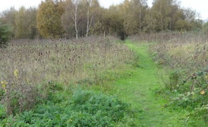 Image of Reclaim and Regenerate Ripple Nature Reserve