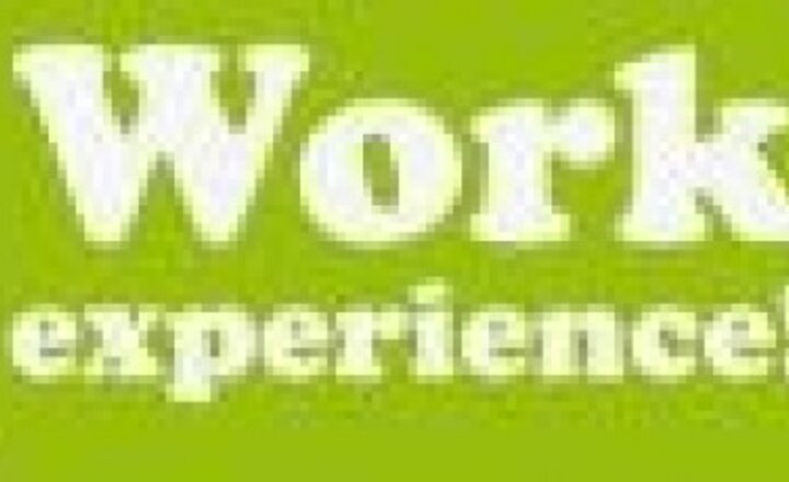 Image of Year 10 Work Experience
