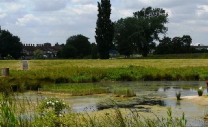 Image of Year 7 Ecology Trip to Beam Parklands