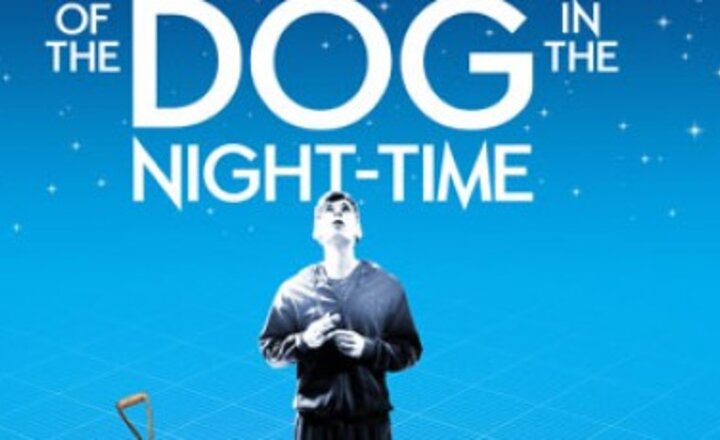 Image of Curious Incident