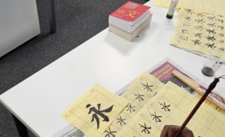 Image of Year 8 Mandarin Calligraphy Workshop