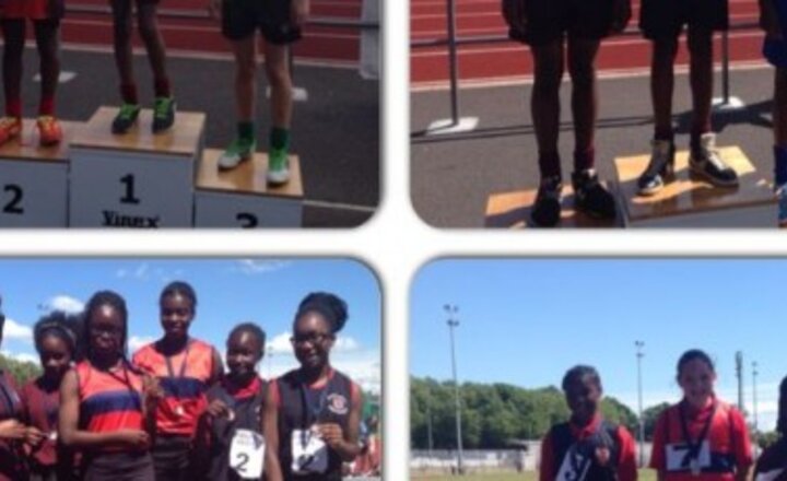 Image of The 2014 Barking and Dagenham Athletics Championships