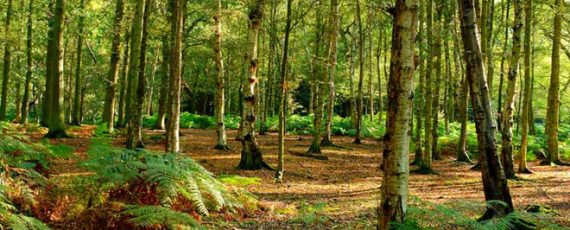 Image of Year 10 GCSE Geography Field Trip