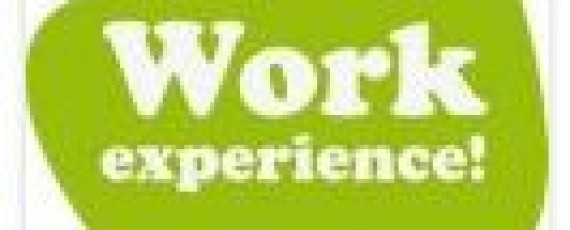 Image of Year 10 Work Experience