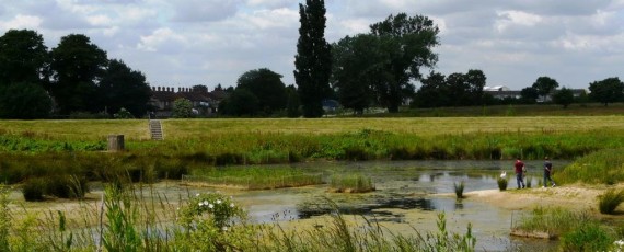 Image of Year 7 Ecology Trip to Beam Parklands