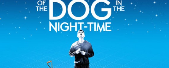 Image of Curious Incident