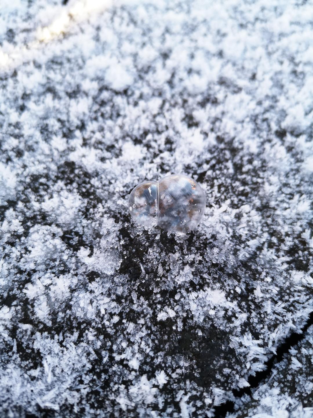 Image of Freezing Bubbles