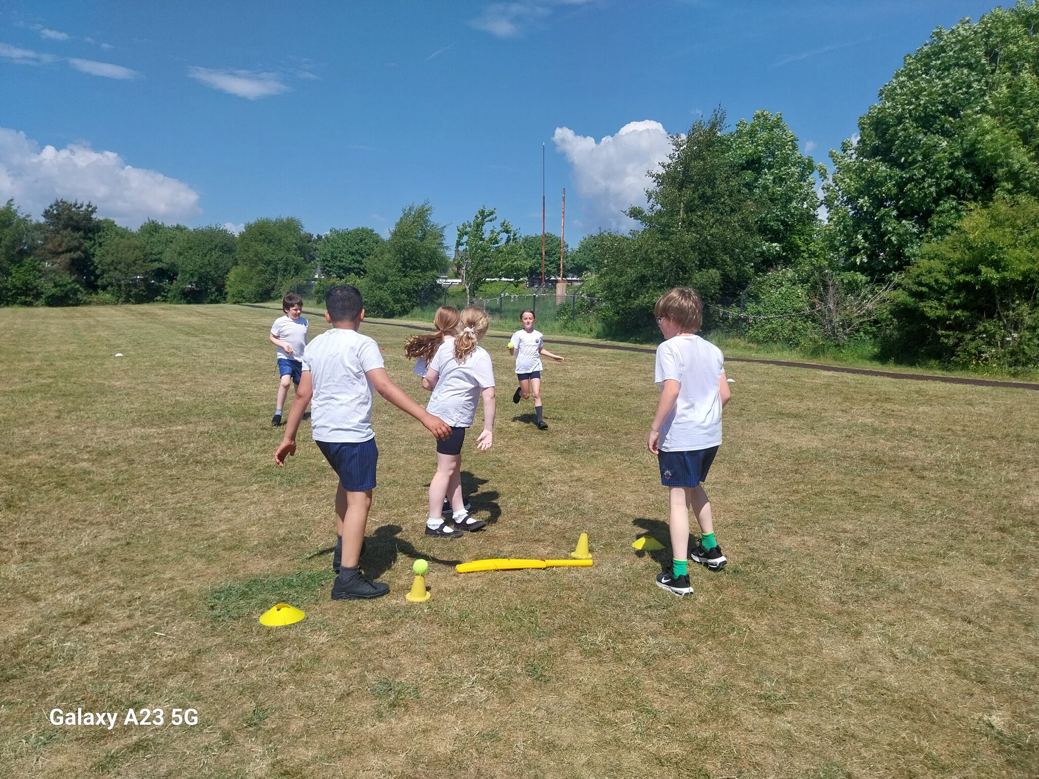 Image of Cricket