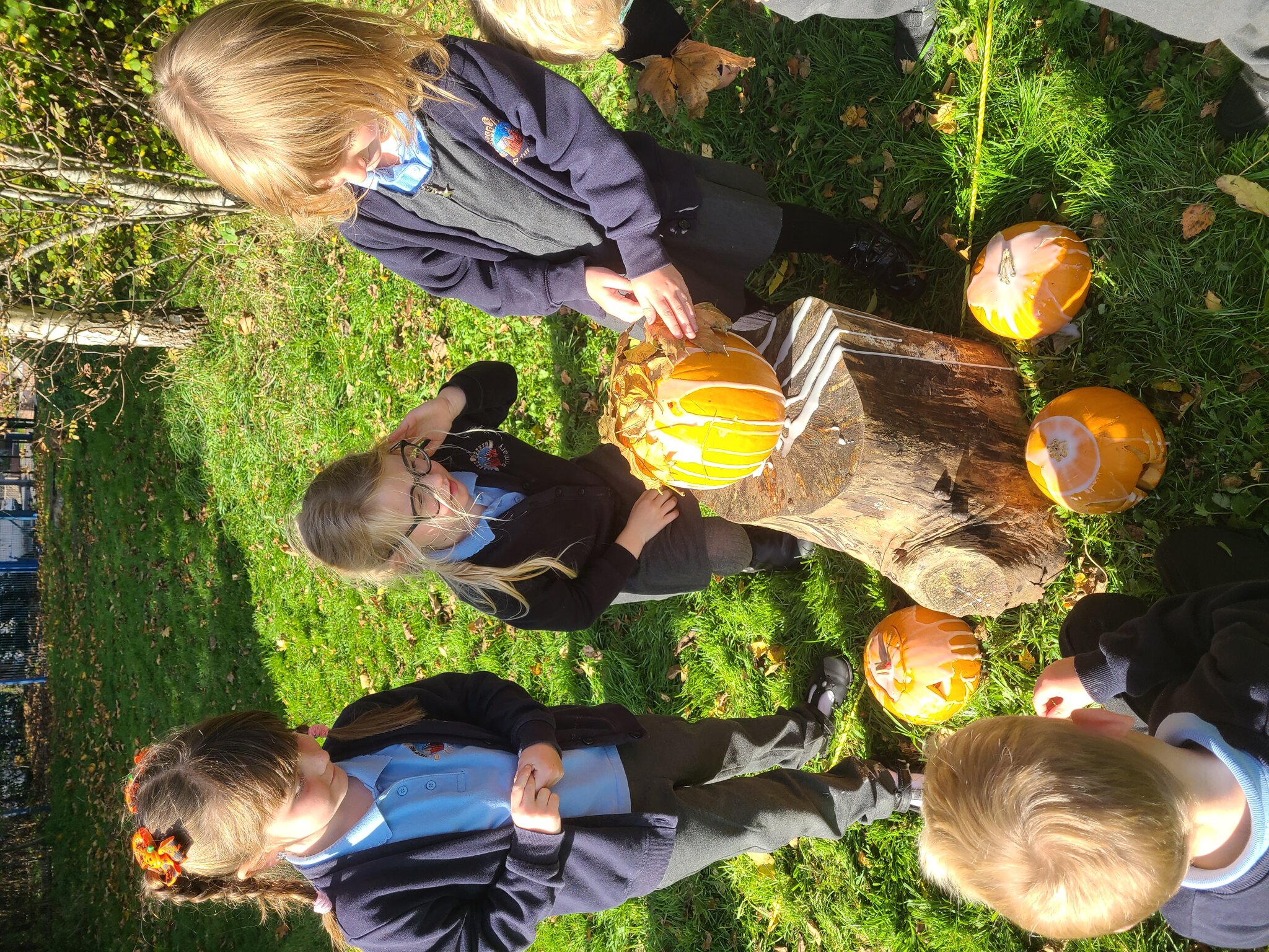 Image of Reception forest school 