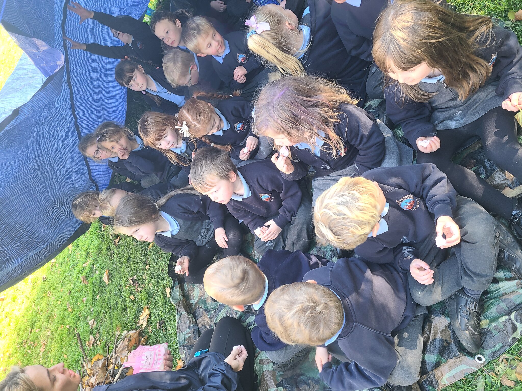 Image of Reception forest school 