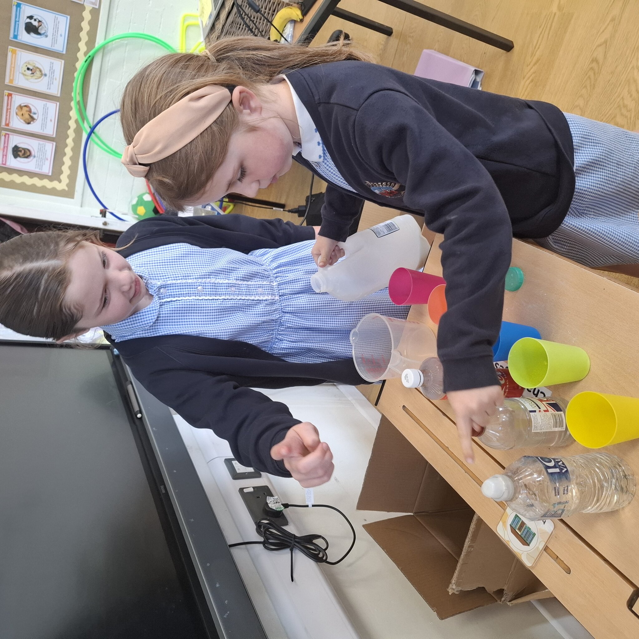 Image of Year 4 Science 29.4.26